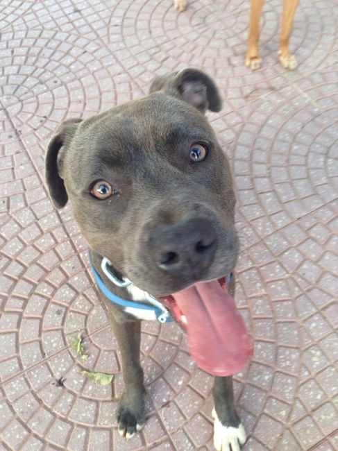 Too cute: i vostri amici animali - 1