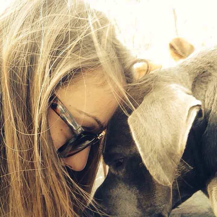 Raccolta di foto con i nostri animali - 1