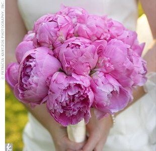 peonie fucsia