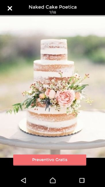 Torta a più piani.. quale scegliere? - 2