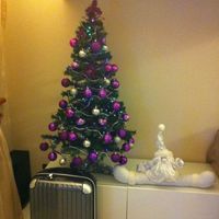 Pubblichiamo la foto dei nostri alberi!! ;) - 1