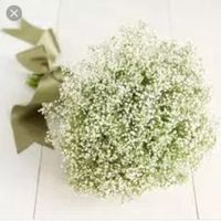 Bouquet, i vostri come saranno? - 1