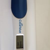 che dite sono incinta?