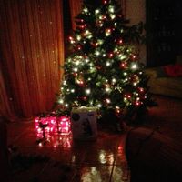 Ultimo natale da nubile - 1