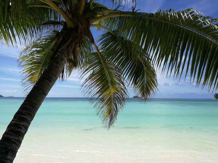 Ed eccoci ritornate (purtroppo) - 5