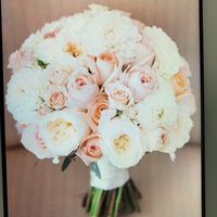 Com'è il vostro bouquet?? - 1