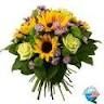 ADORO I GIRASOLE!!!!