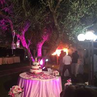 Il nostro....20/08/2016.... - 4