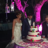 Il nostro....20/08/2016.... - 5