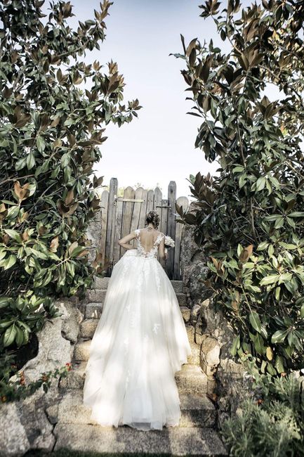 Il nostro 29 luglio .. - 2