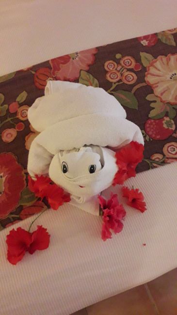  Messico che passione ! - 1