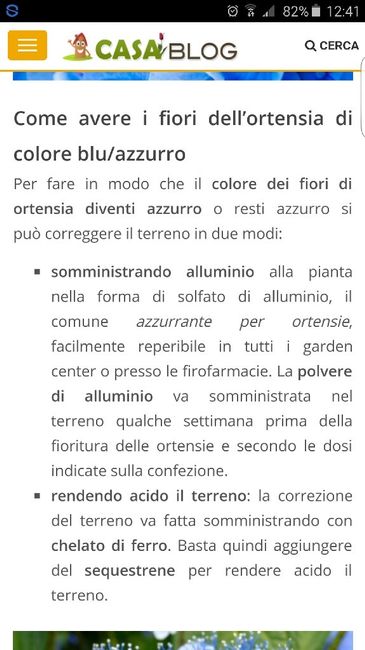 Fiori blu - 1