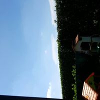 Ma siamo a giugno, - 1