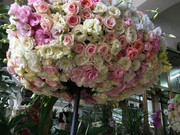 Vi lascio delle foto! - 14