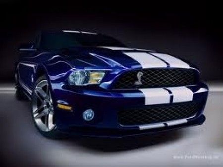 Mustang Shelby