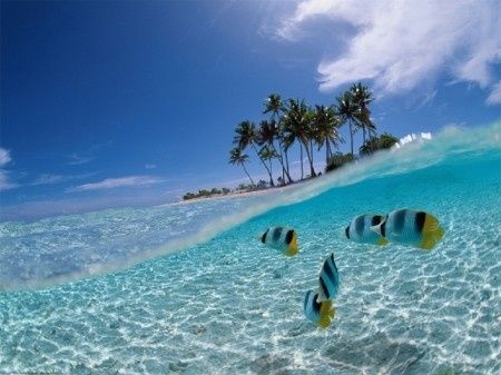 viaggio di nozze Indonesia