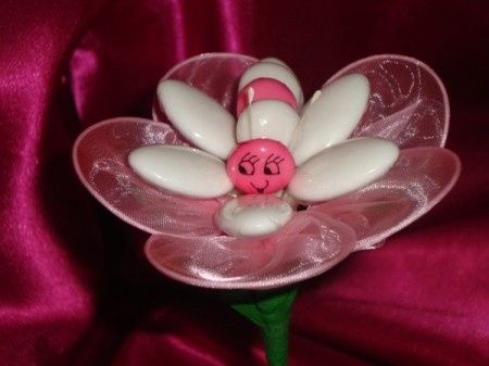 Margherita con bruco!