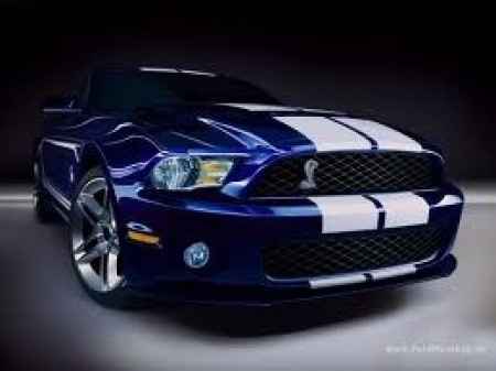 Mustang Shelby