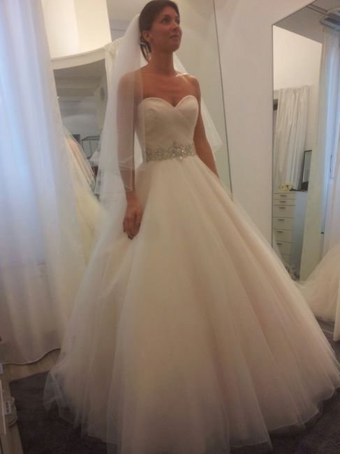 Colore del vestito - 1