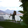 Alessia