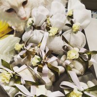 Sacchettini porta confetti - 1