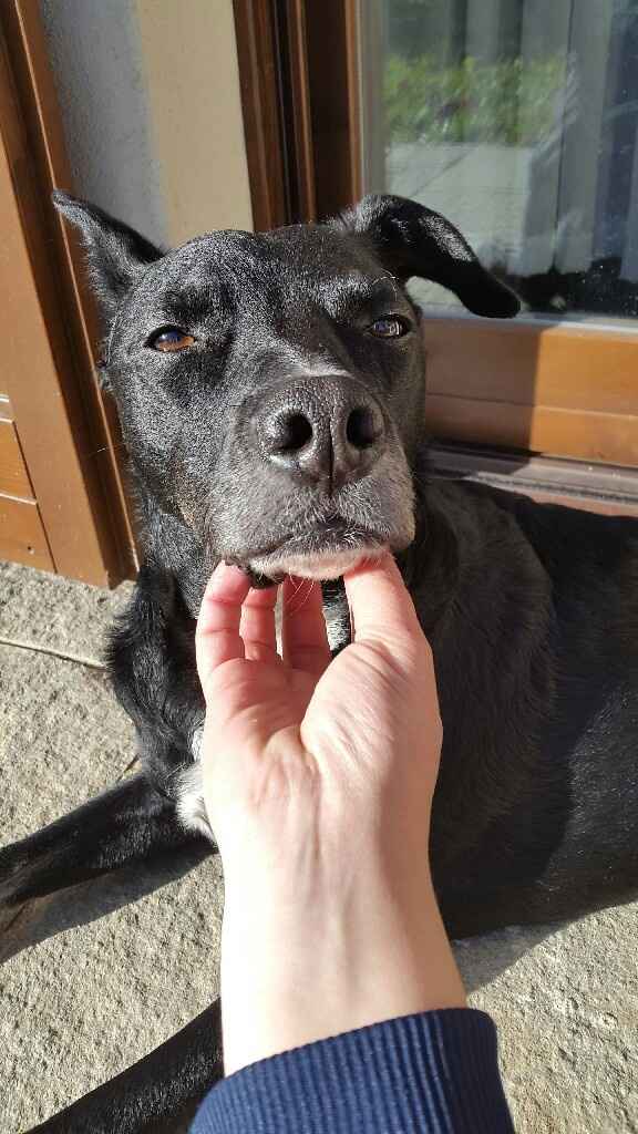 Scelta del nome! - 1