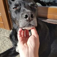 Scelta del nome! - 1