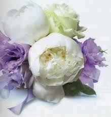 peonieeeeeeeeeee