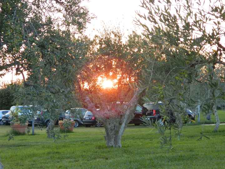 polvere4