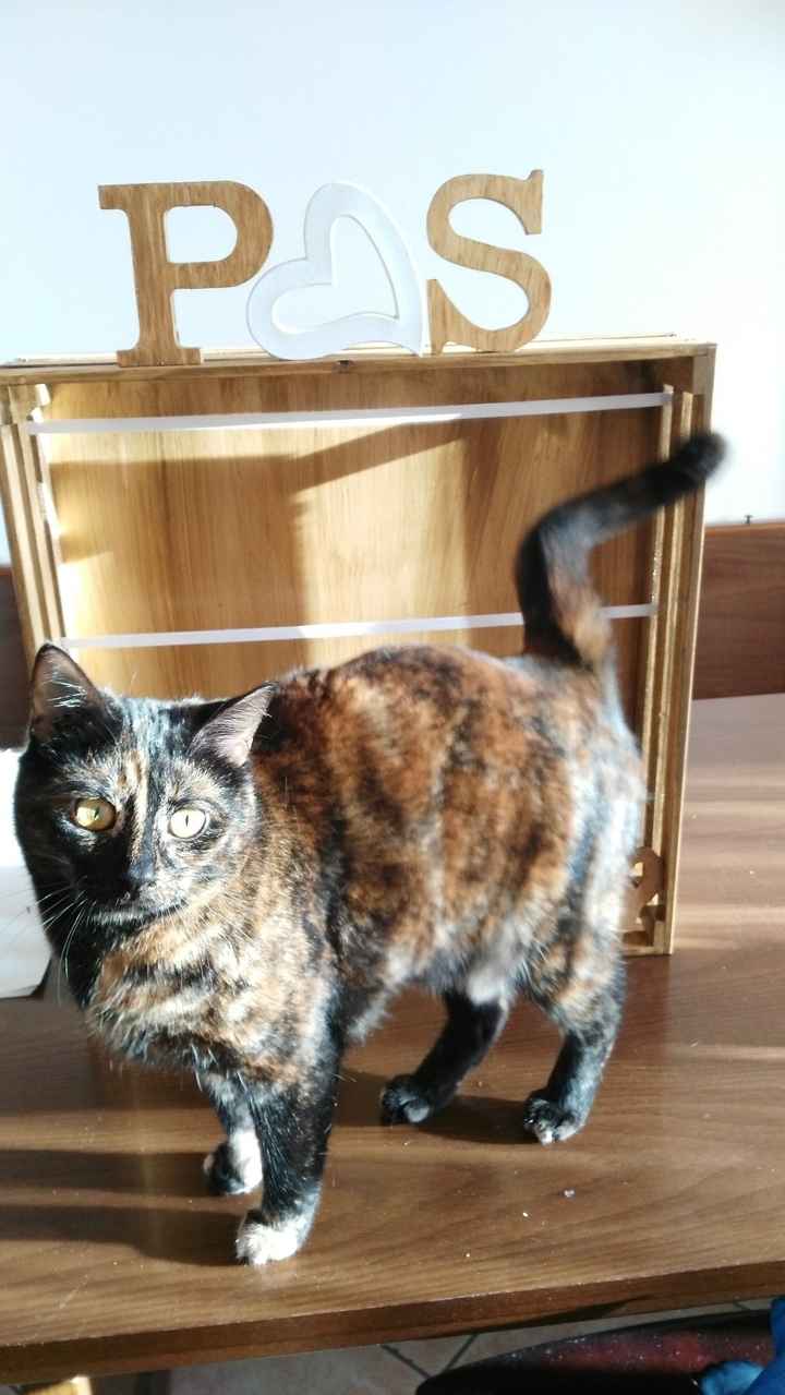Anouk in posa!