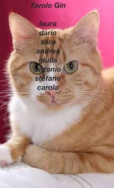 prova a caso