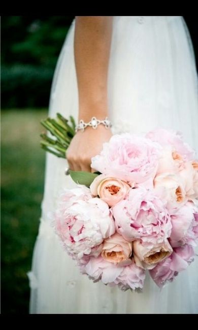 Damigelle e tema aiutoo - 1