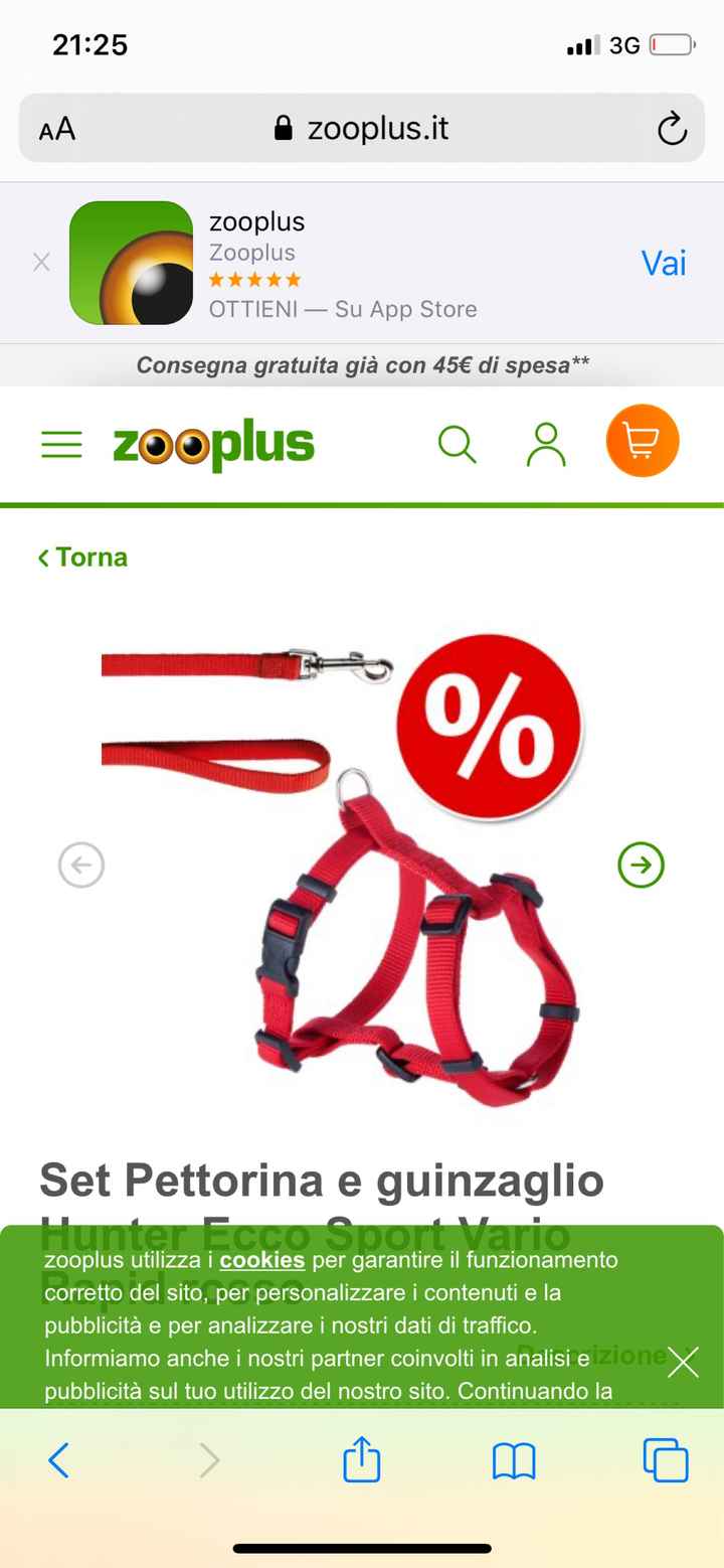 Collarino per zoe❤️ - 1