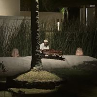 Foto del viaggio di nozze organizzato da Groove Travel - 2