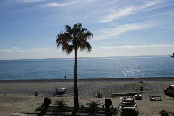 Un buongiorno così.... - 1