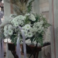 Tipi di fiori e colori matrimonio - 1