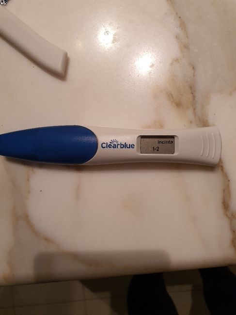 Aiuto, sono incinta? 2