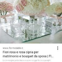 Help colore di fiori - 2