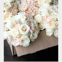 Help colore di fiori - 5