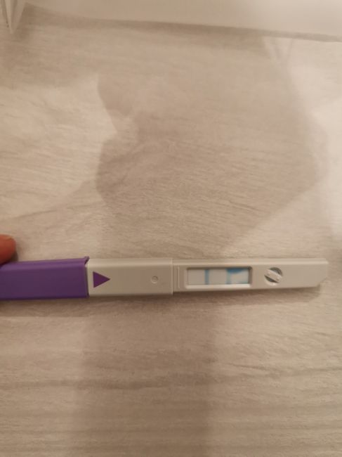 Chi non le aspetta per settembre 2021 - 1