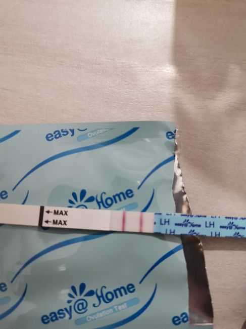 Chi non le aspetta per Dicembre 2021 🤶 🎅 🎄 - 1