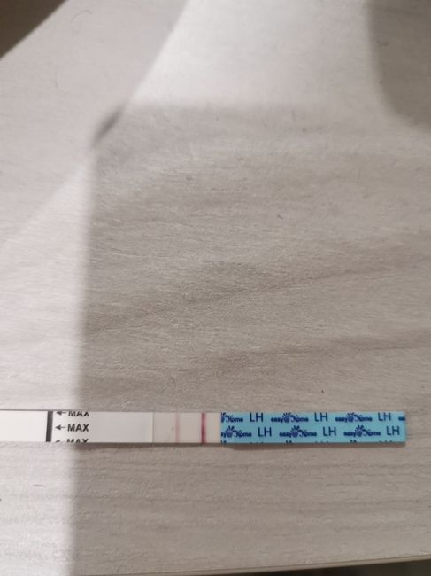 Chi non le aspetta per Gennaio 2022 🍀🍀🍀 - 2