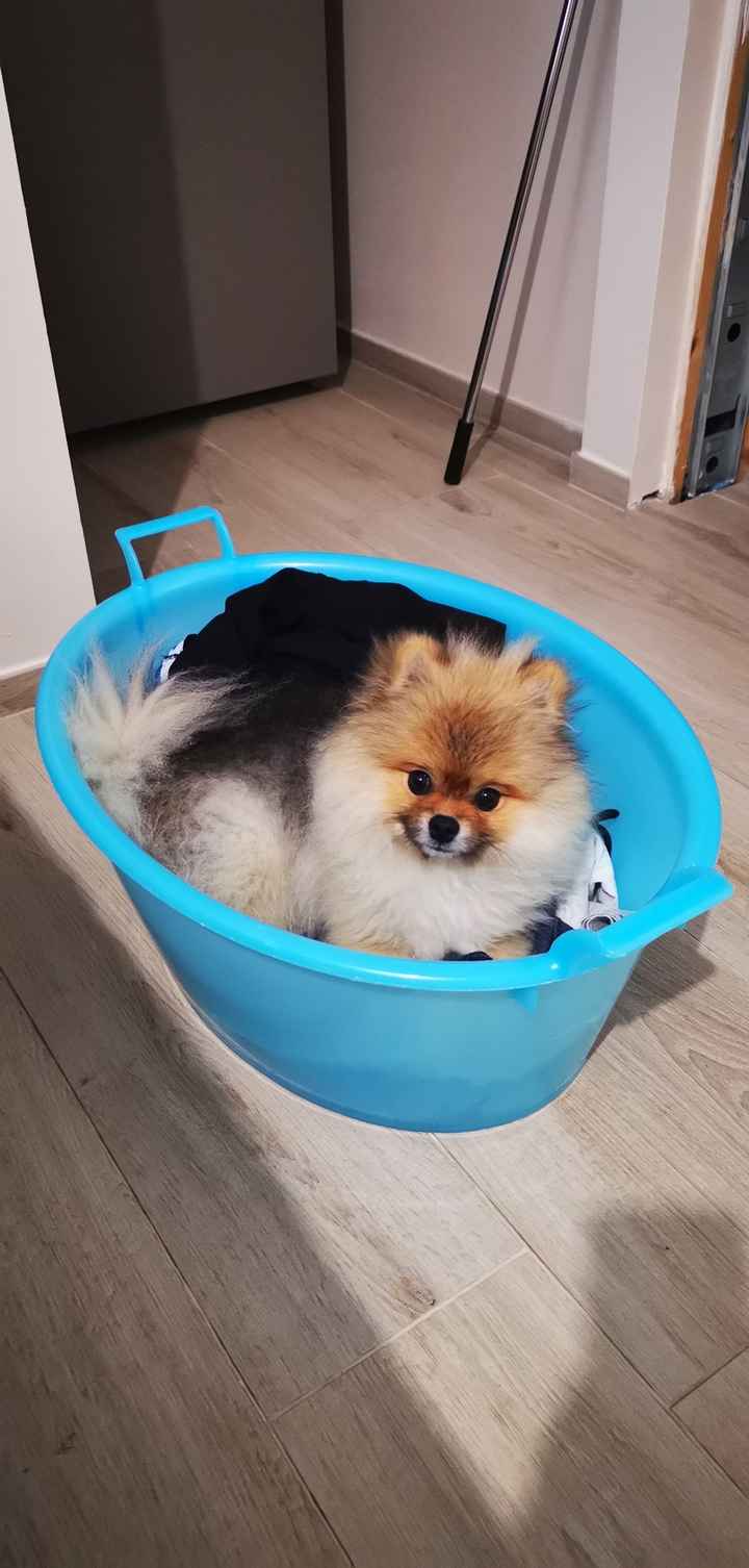 Chi non le aspetta per Ottobre 2021🤞🌰🍷 - 1