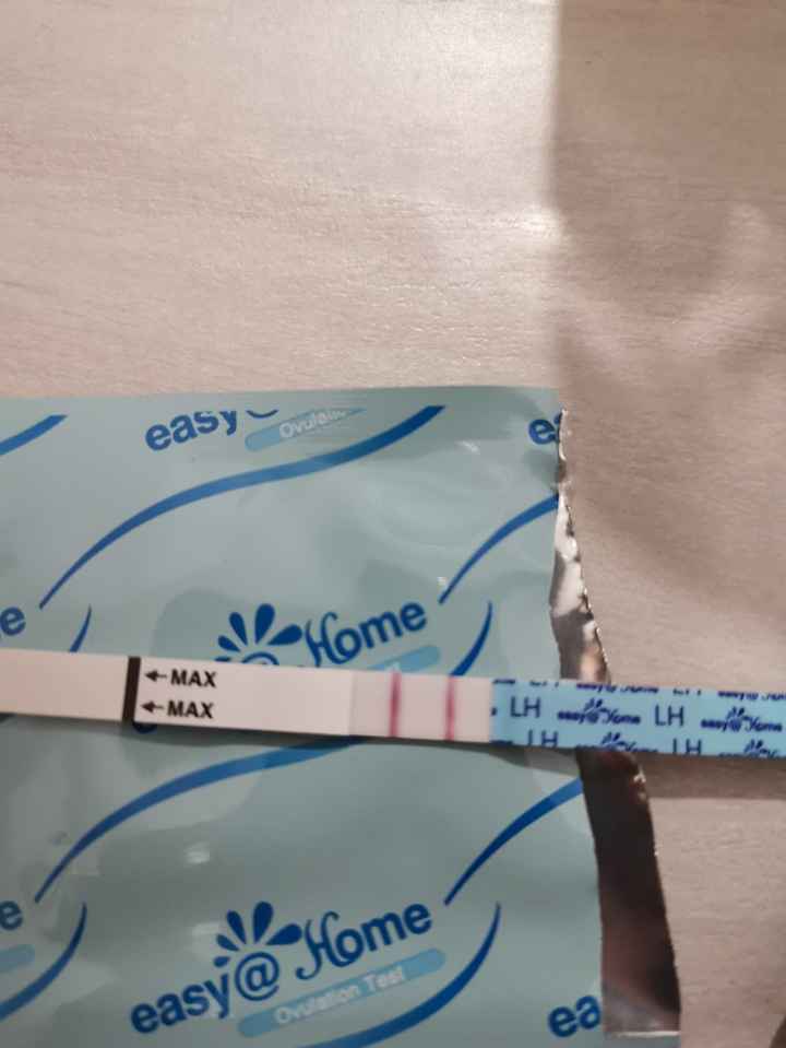 Chi non le aspetta per Dicembre 2021 🤶 🎅 🎄 - 1