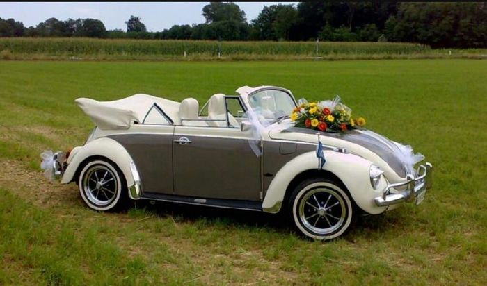 Quale macchina scegliete....? - 1