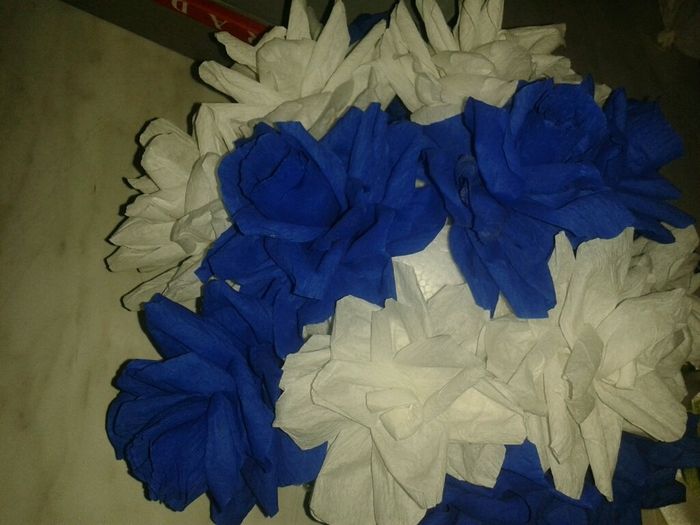 Quale scelgo aiuto - 5