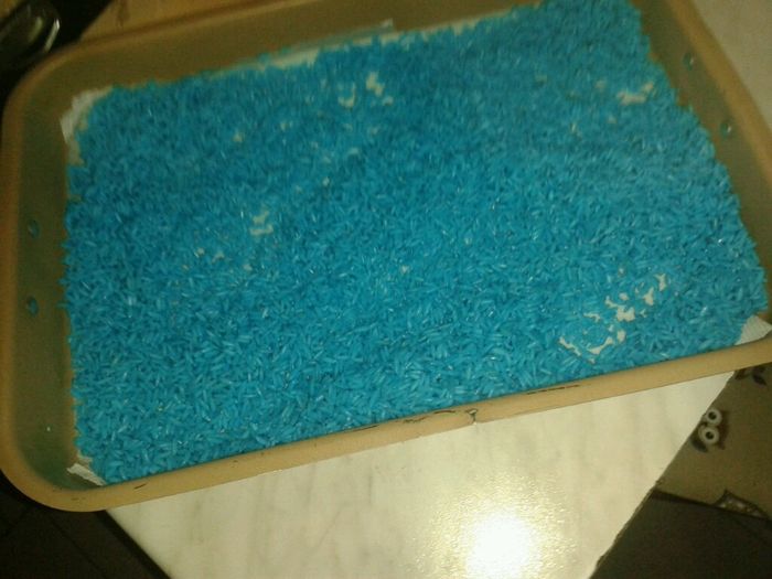 1 prova riso colorato help - 5