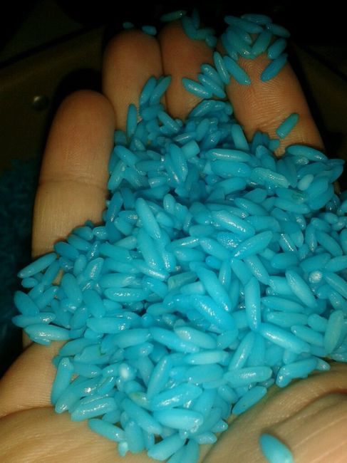 1 prova riso colorato help - 6