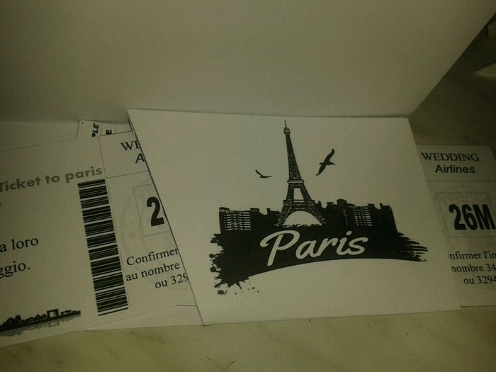 Partecipazioni ccustodia e biglietto aereo - 5