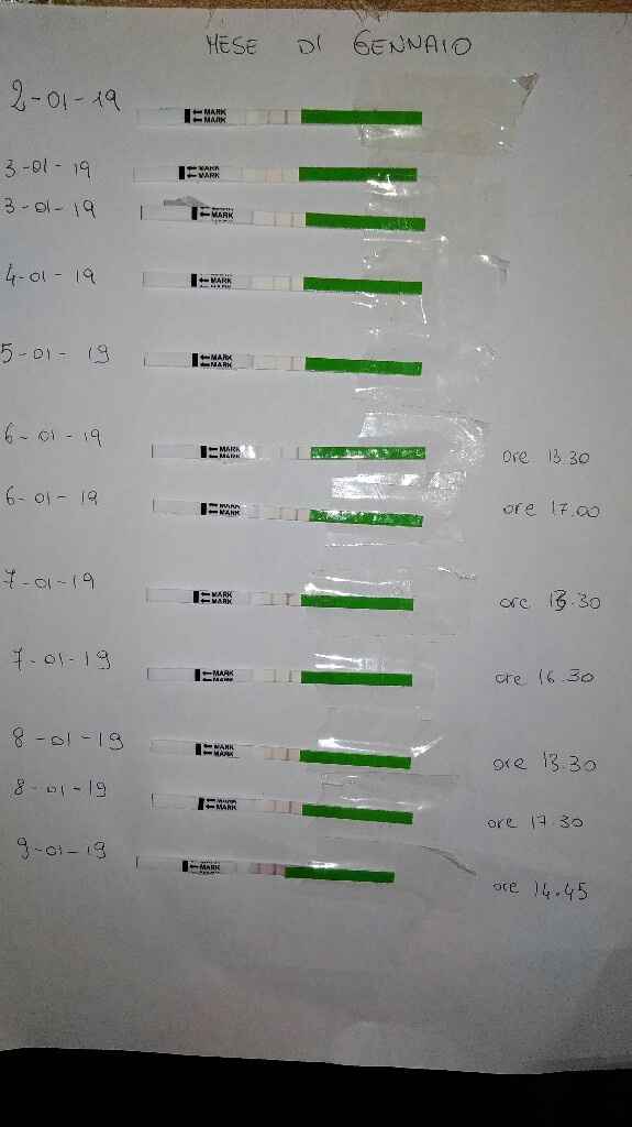 Aiutatemi a capire🙄 - 1